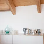 Storchennest *